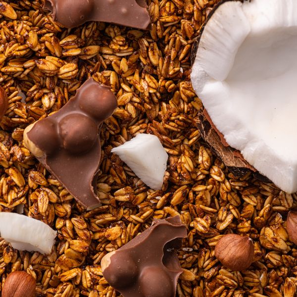 Гранола Gregory Mill Chocolate Coconut, 1000 г GM-01-02 фото