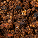 Омега-Гранола Шоколад та Вишня Gregory Mill Omega Chocolate Cherry Premium Granola, 600 г GM-01-18 фото 2